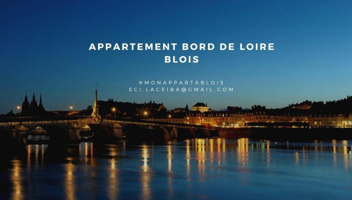 布鲁瓦Duplex 60 M2 Bord De Loire公寓 外观 照片
